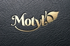 logo-motyl