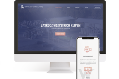 projektowanie-stron-internetowych-16